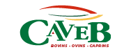 Logo Cave B