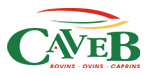 Logo Caveb - Solutions téléphonies IP pour entreprises