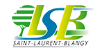 logo lsb