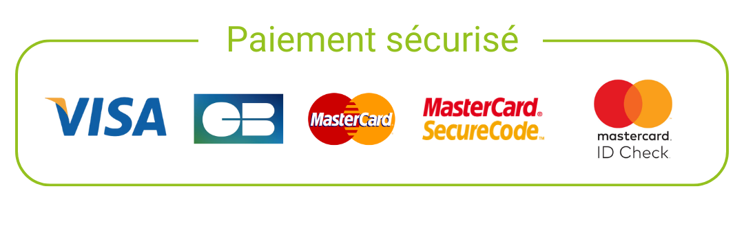 Logos des divers moyens paiements sécurisés en ligne
