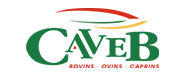 Logo Cave B