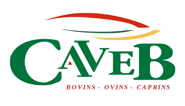 Logo CAVEB